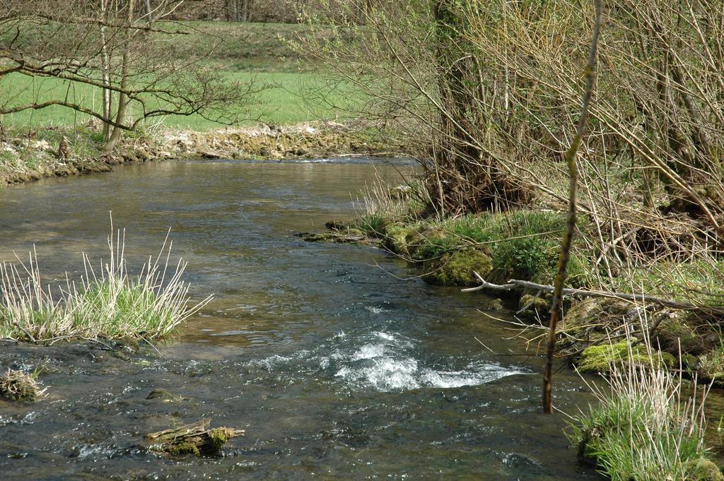 Ferienhaus Am Brunnen Tiefenpolz Bagian luar foto